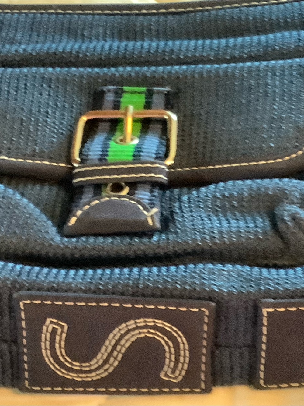 The Sak Navy Crossbody with Green Stripe Webbing and Brass Buckle